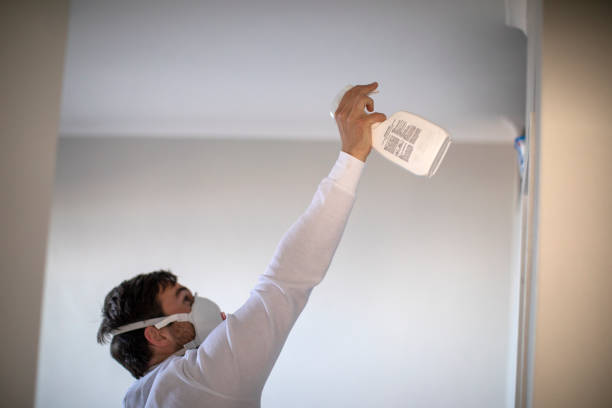 Best Office Mold Removal Services  in , TN